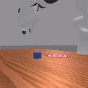 DP